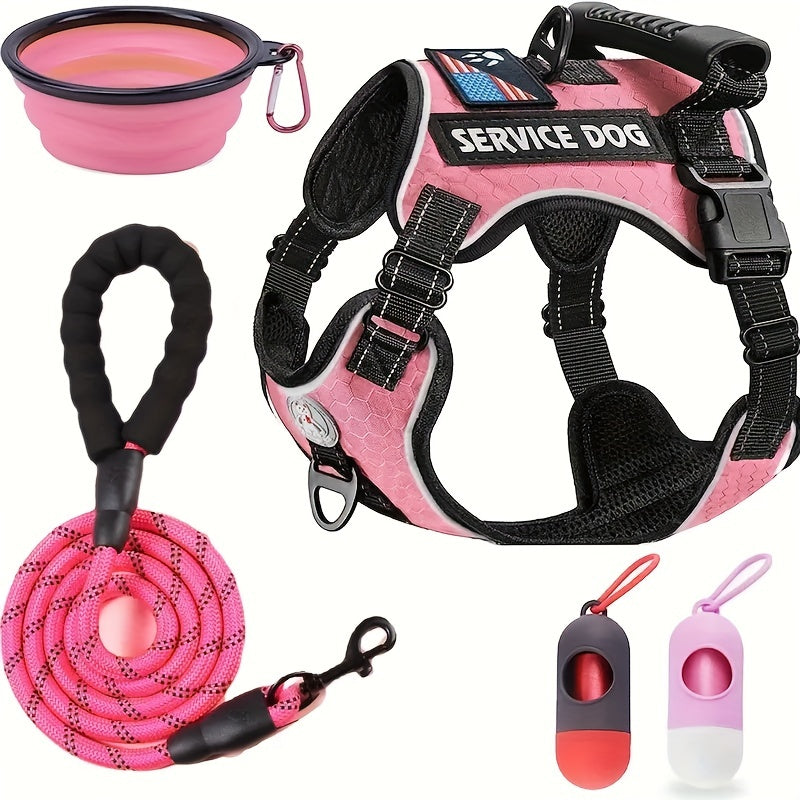 Laisse pour chien- Ensemble Service Dog