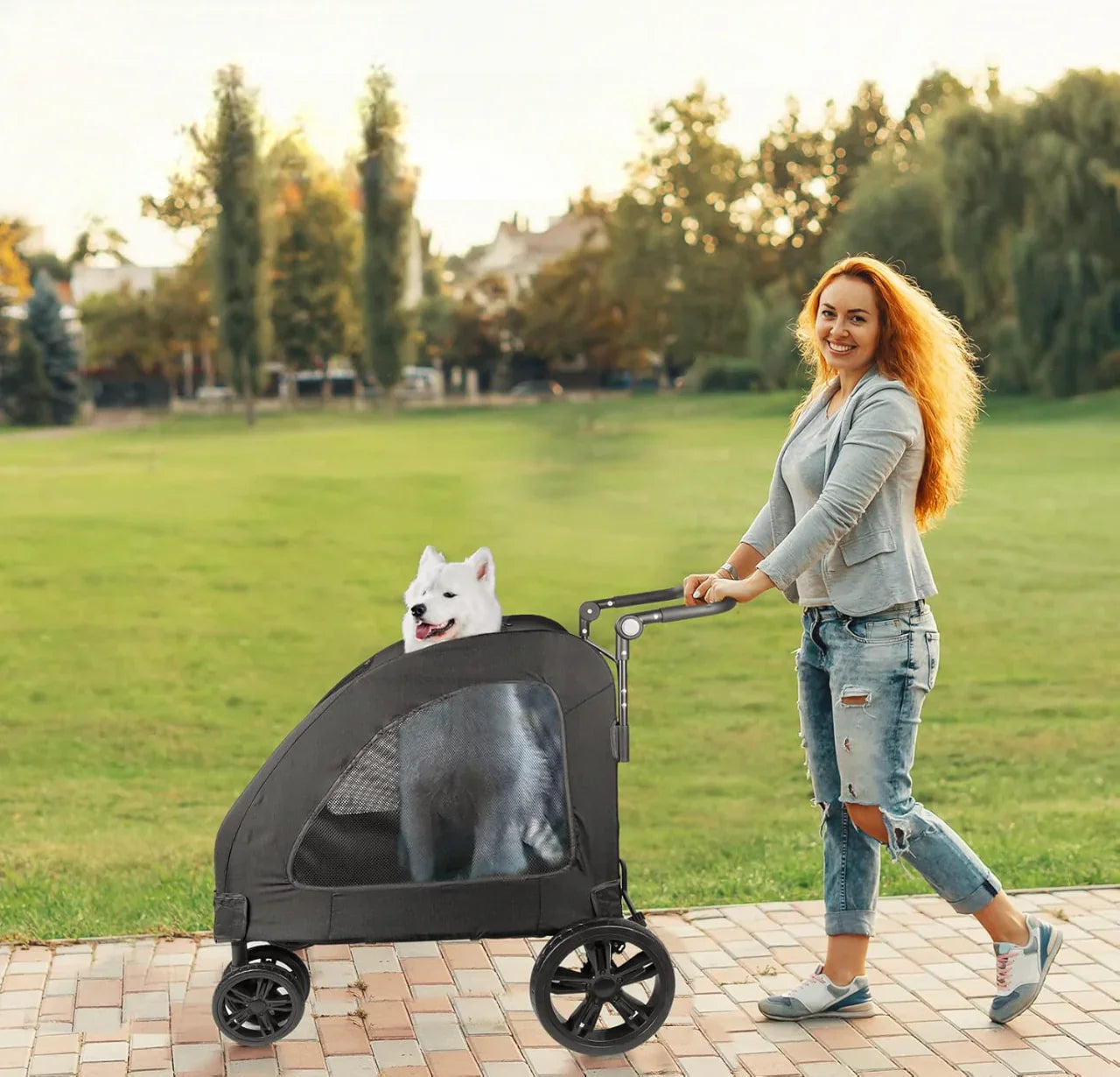 Poussette pour Chien - StrollyPet™ - promenade