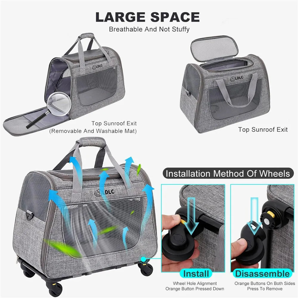 Caisse de transport chien- 3 in 1 Portable