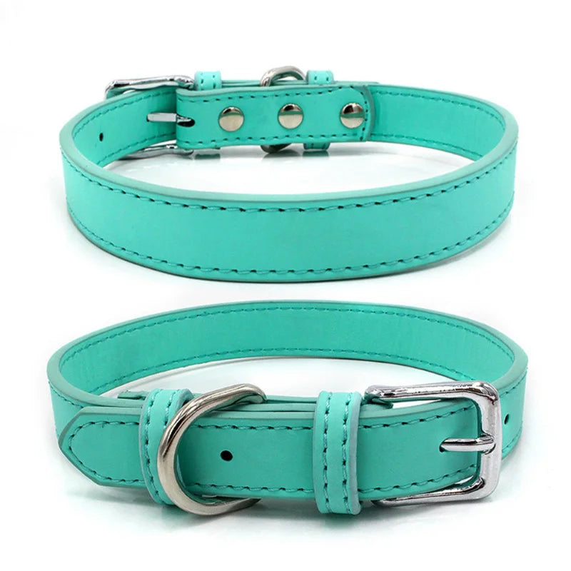 Collier chien cuir - Couleur sublime