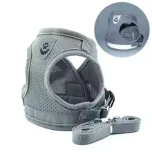 Harnais chien | Confort Sécurité gris