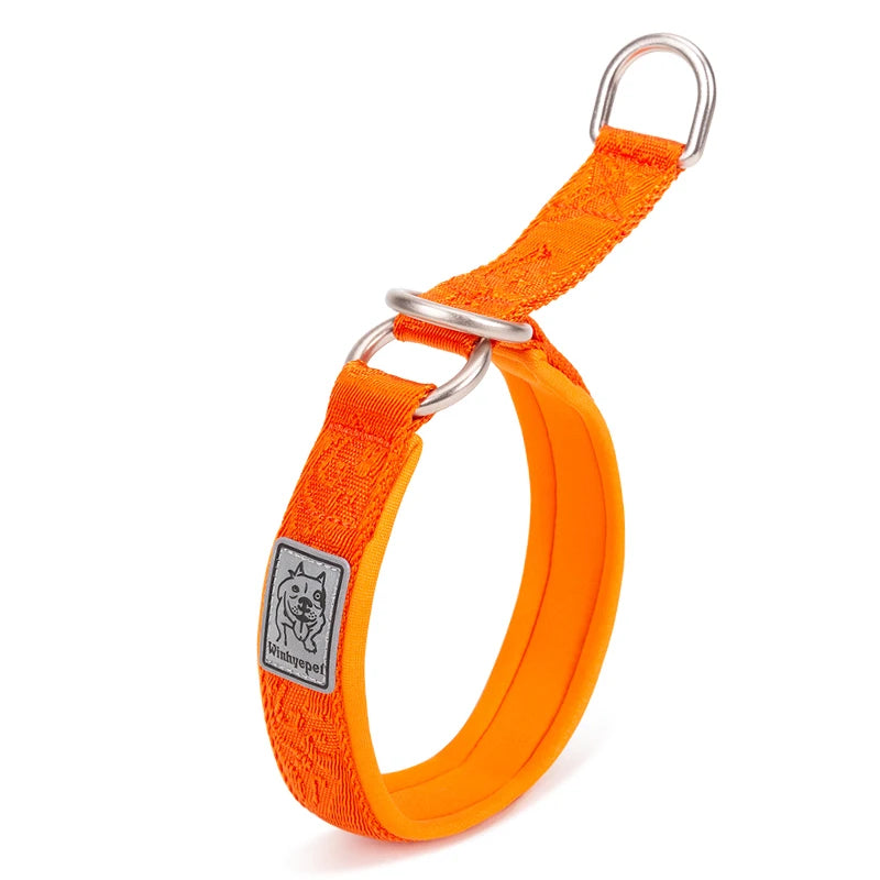 Collier de dressage pour chien- TRUELOVE P-chain