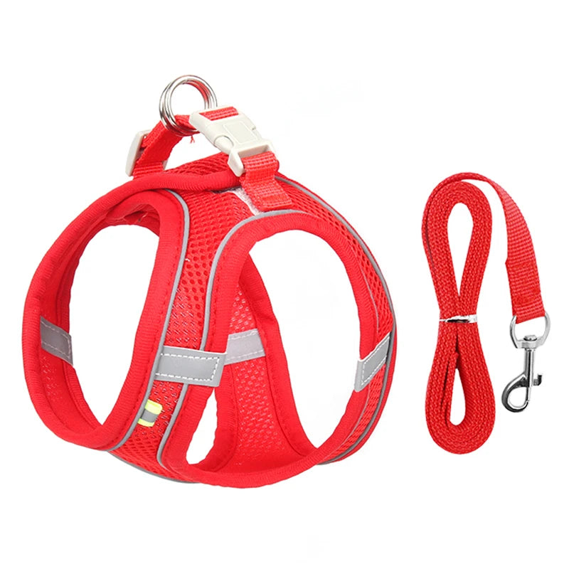 Harnais chien- CDDMPET Set Outdoor