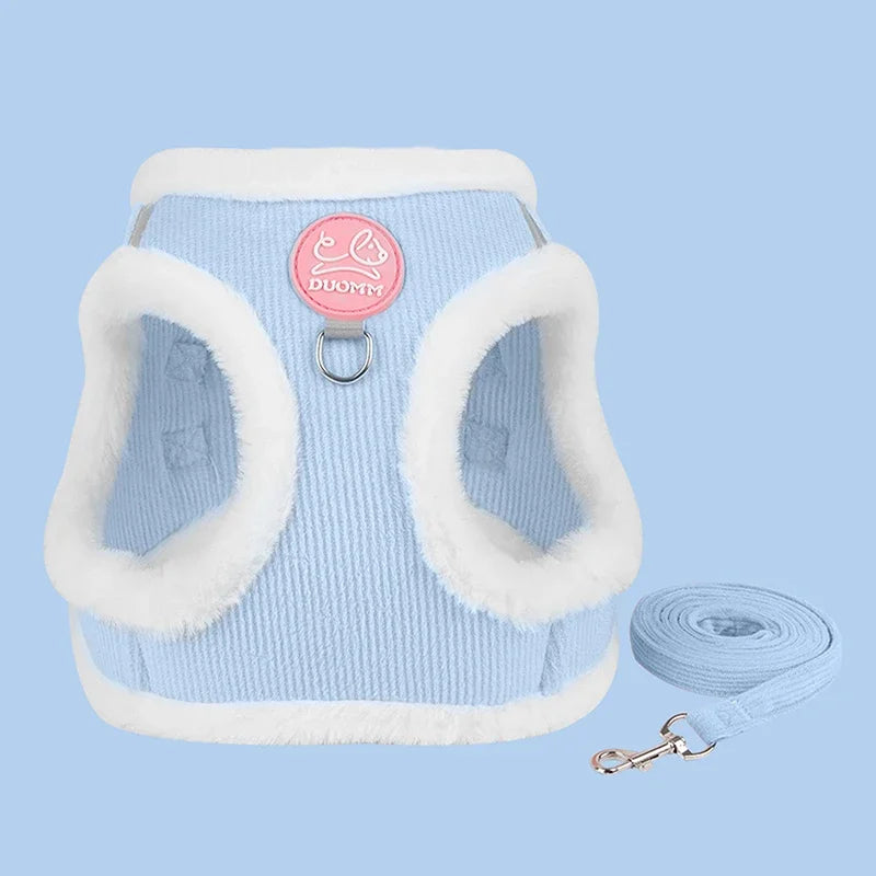 Harnais chien- DUOMM Kit