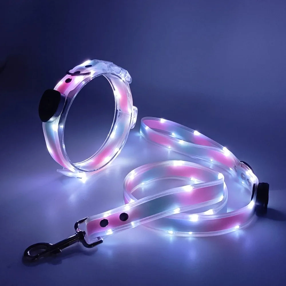 Collier lumineux pour chien | NightGuard
