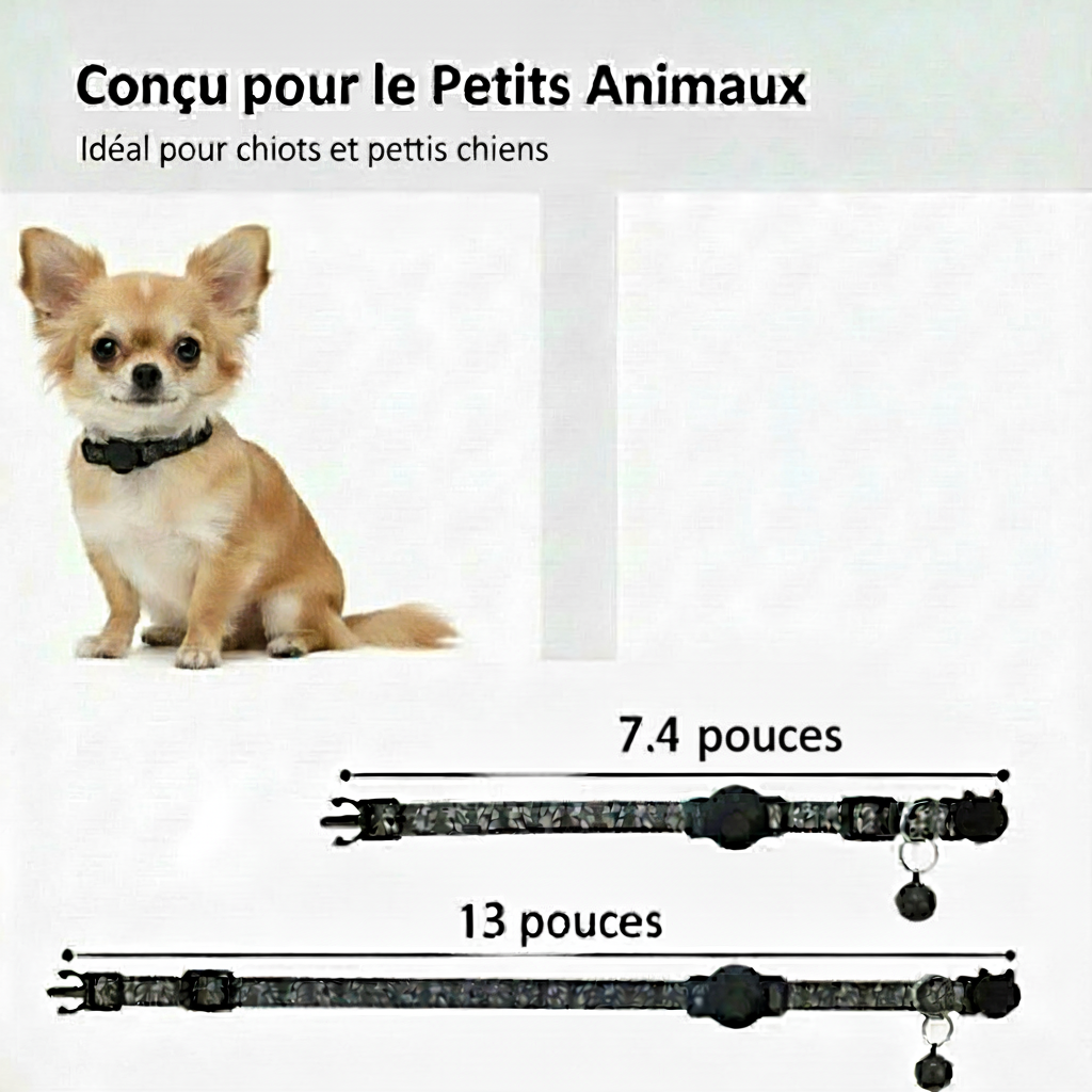 Collier GPS pour chien | PetTracker
