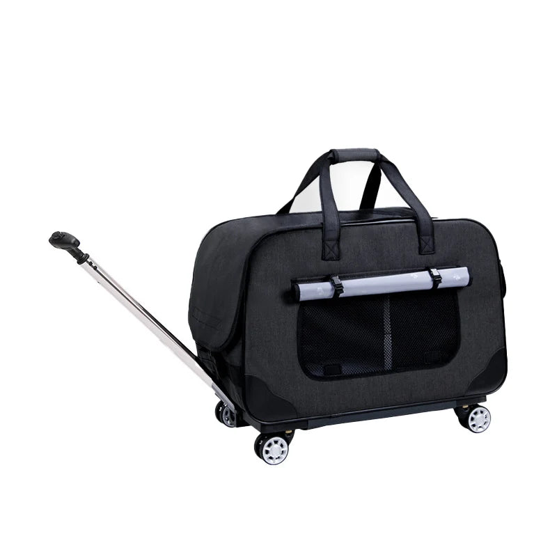 Poussette pour chien- Transporteurs Convertible 4 roues