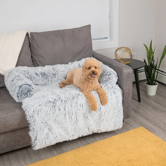 Tapis pour chien- Divan lit portable
