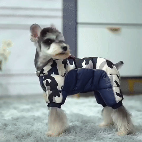 manteau pour chien hot camouflage