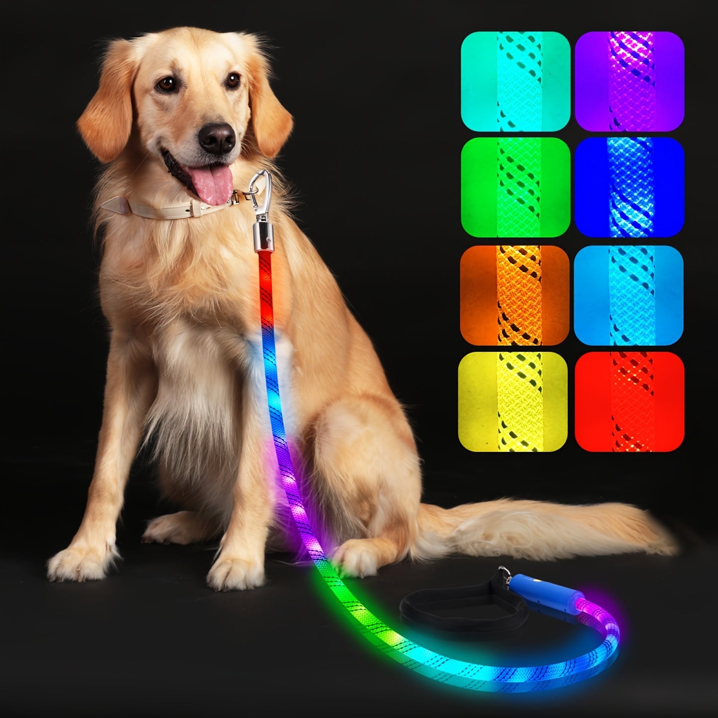 Laisse LED Réfléchissante pour Chien | NightSafe