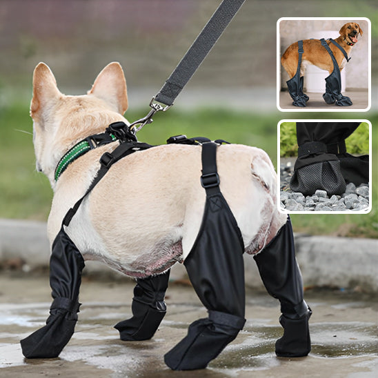 Bottes pour chien Fix-bretelles
