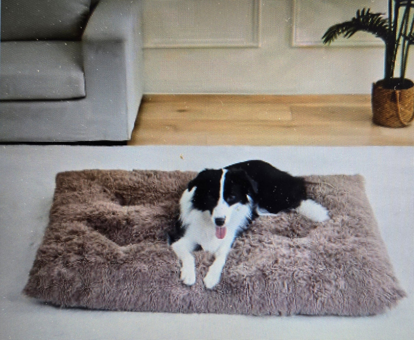 Coussin pour chien - Tapis douillet - Le Chihuahua Voyageur