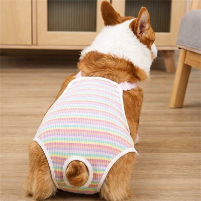 Culotte pour chien