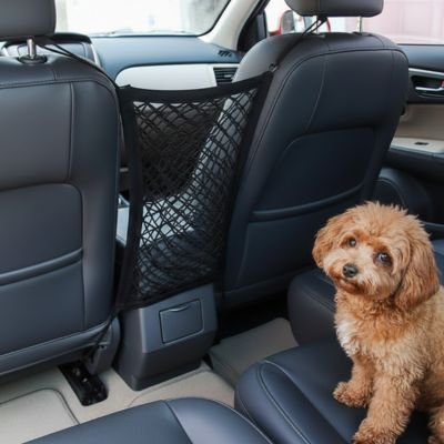 Filet chien voiture | Premium Secure - Le Chihuahua Voyageur