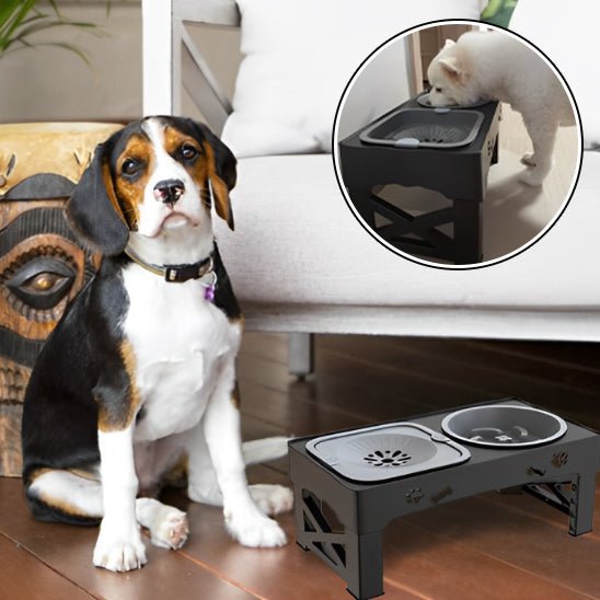 Gamelle chien 3 en 1 évolutive - Le Chihuahua Voyageur