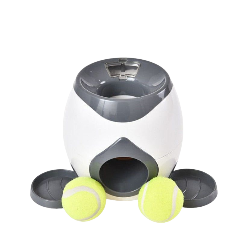 Jouet de tennis pour chien