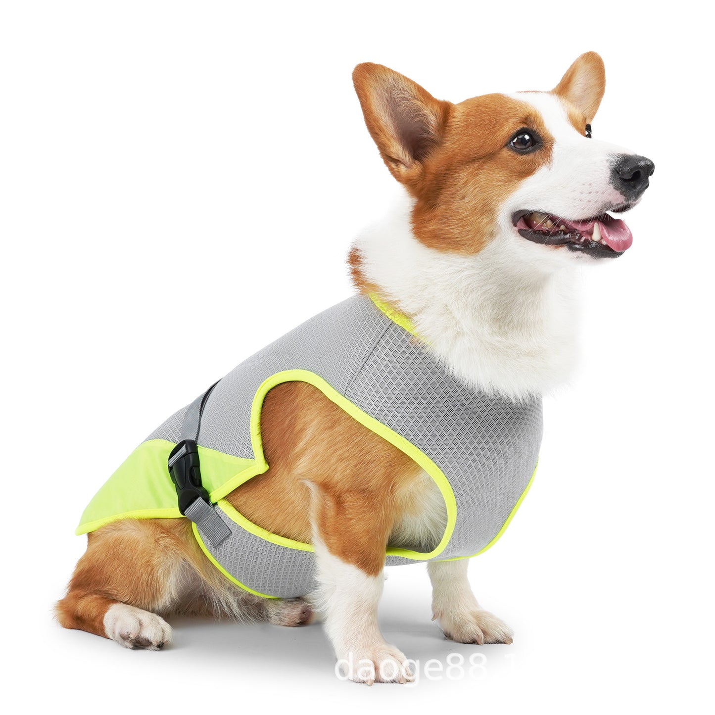 Gilet rafraichissant chien | Fraîcheur Durable