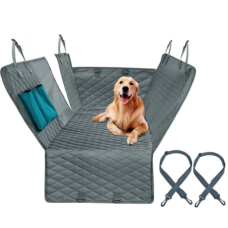 Protection pour-chien- housse et laisse de sortie