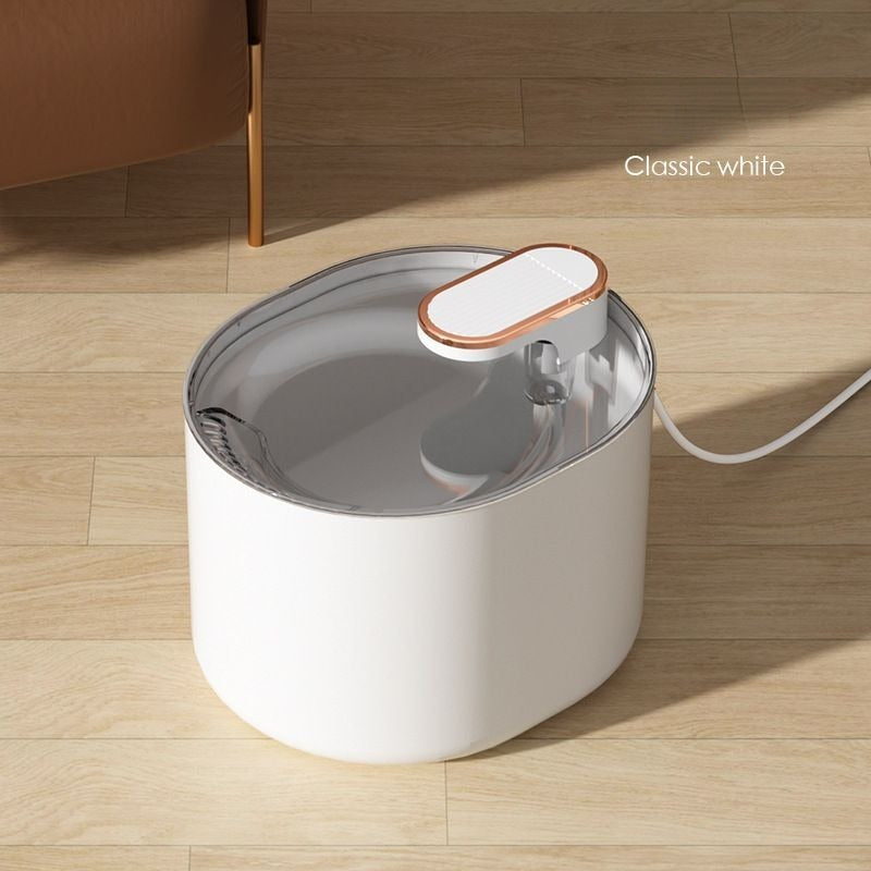 Distributeur d'eau intelligent pour chien