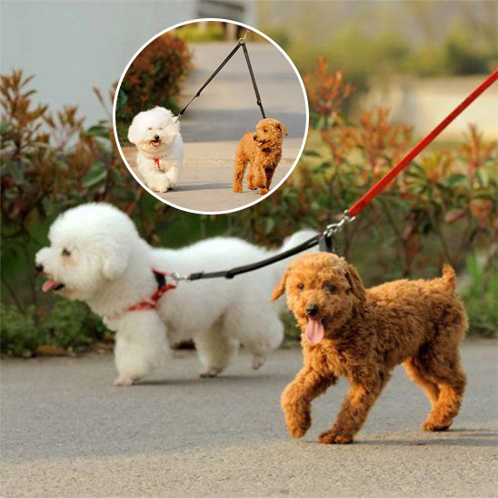 Laisse double pour chien-Rallonge double