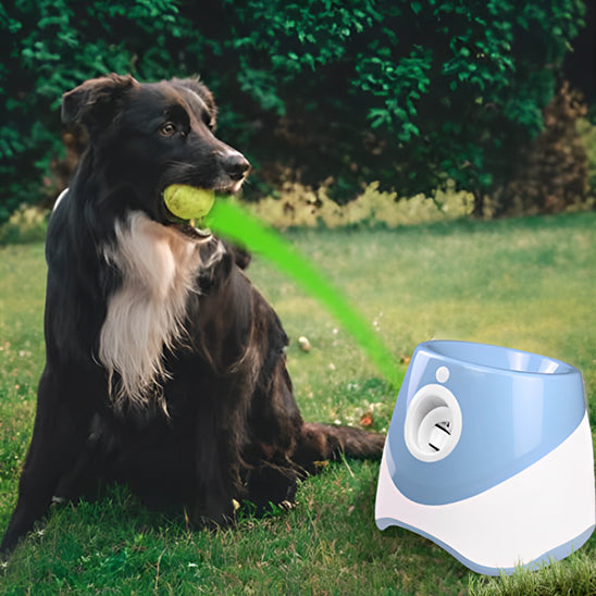 Lanceur de Balle pour chien- Automatique