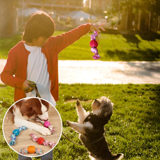 Jouet pour chien - Corde anti - destruction - Le Chihuahua Voyageur