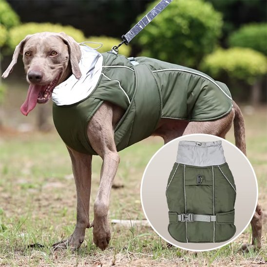 Manteau pour chien | Winter Shield - Le Chihuahua Voyageur