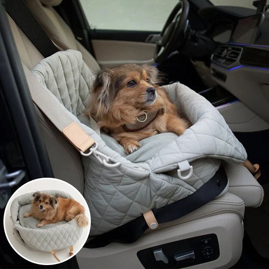panier chien - adaptatif - Le Chihuahua Voyageur