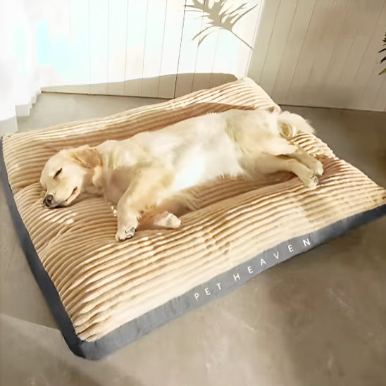 Panier chien- Coussin PET HEAVEN