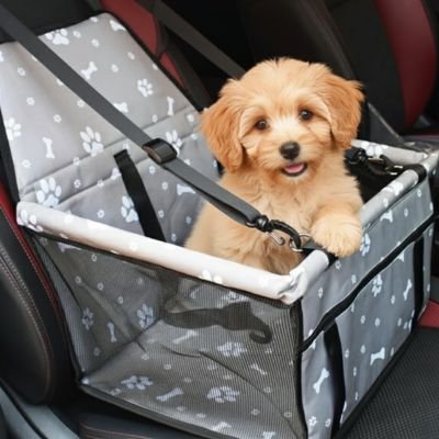 Siege auto pour chien | Sécur'Confort