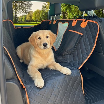 Protection chien voiture | Premium - Le Chihuahua Voyageur