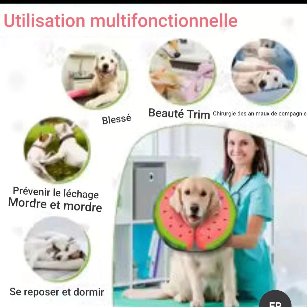 Collerette Chien | Confort Plus