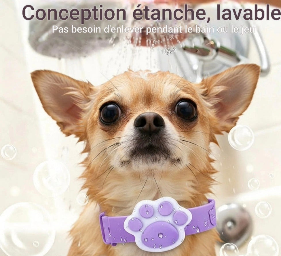 Collier anti puce | Naturel aux huiles essentielles