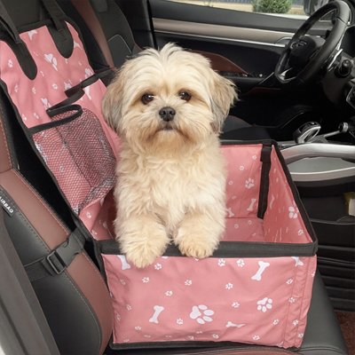 Siege auto chien