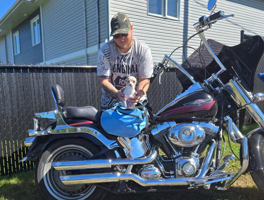 Sac a dos chien : Guide complet pour choisir le meilleur transporteur - Le Chihuahua Voyageur