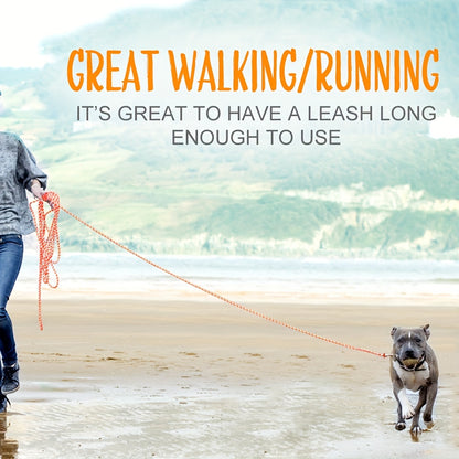 Longe pour chien- Reflective Long Polyamide