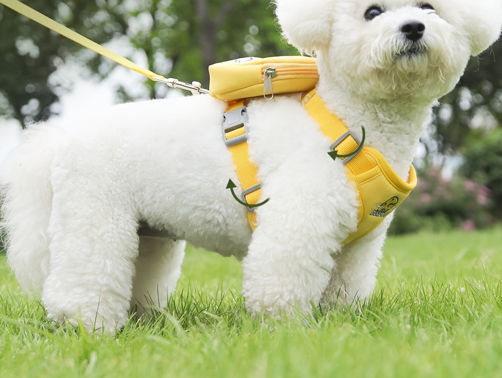Laisse pour chien - Football in Space