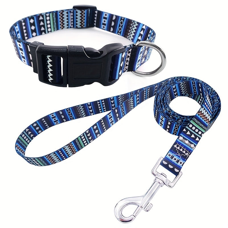 Laisse pour chien- Couleur Plaisir