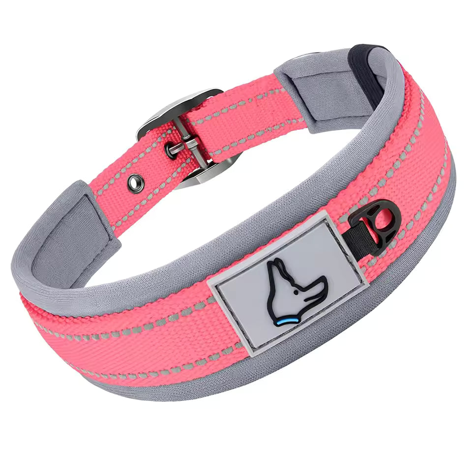 Collier pour chien-Réfléchissant Joytale