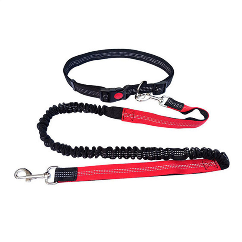 Laisse de chien- Ultimate Comfort