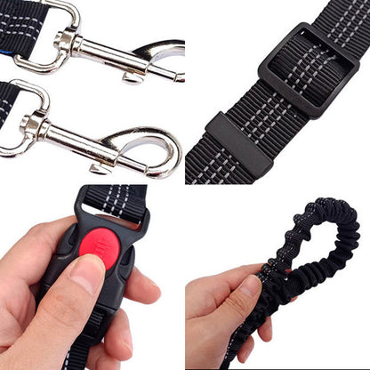 Laisse de chien- Ultimate Comfort