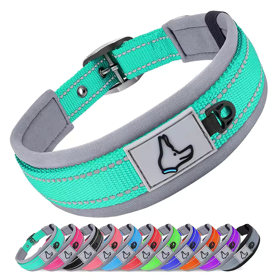 Collier pour chien-Réfléchissant Joytale