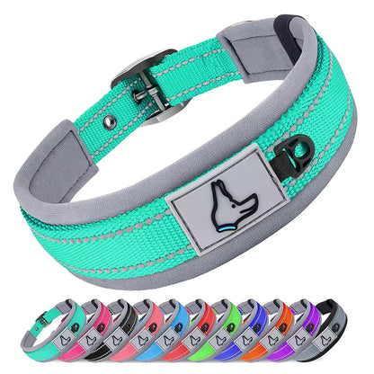 Collier pour chien-Réfléchissant Joytale