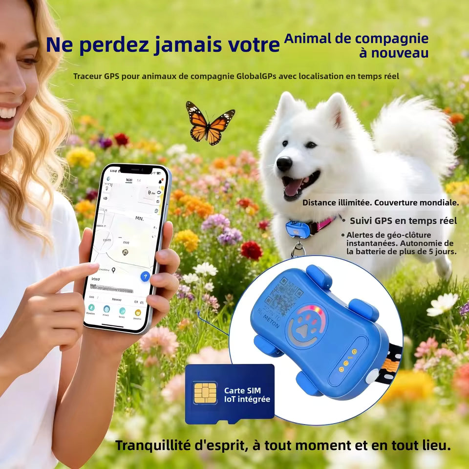 gps pour chien- Location anti perte