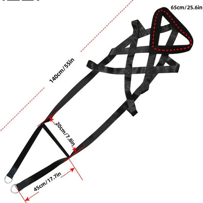 Harnais chien decathlon- Dog Traction Training