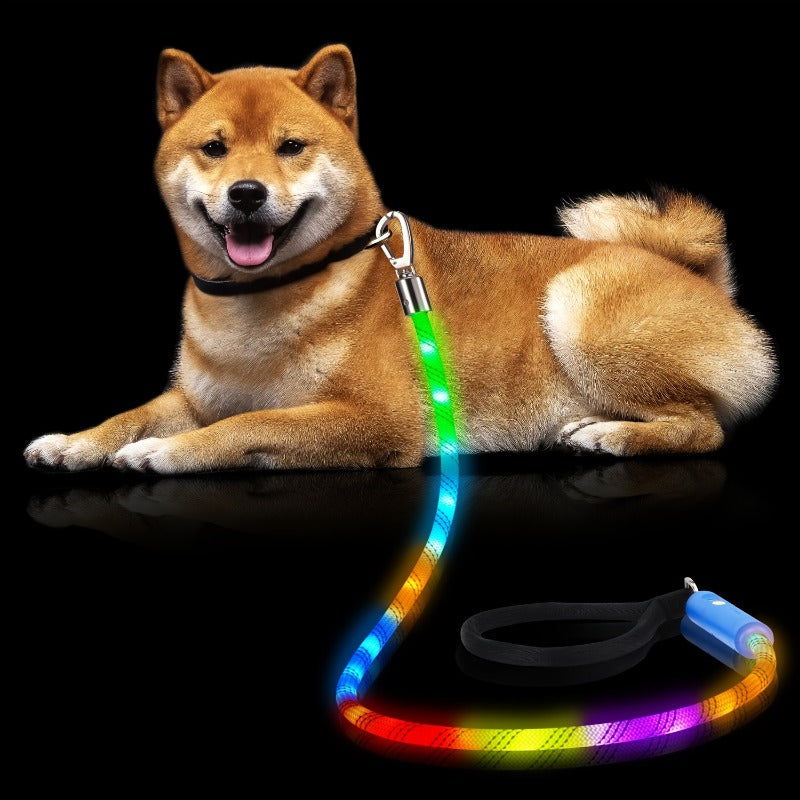 Laisse LED Réfléchissante pour Chien | NightSafe