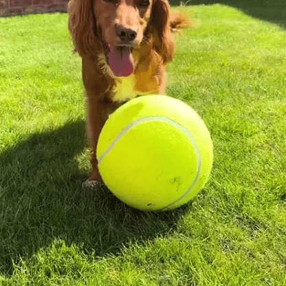 La Balle pour chien- GEANTE