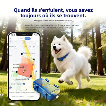 gps pour chien- Location anti perte