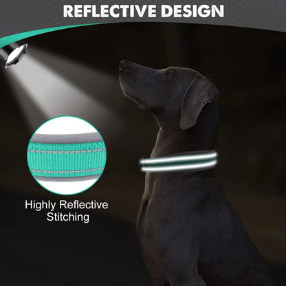 Collier pour chien-Réfléchissant Joytale