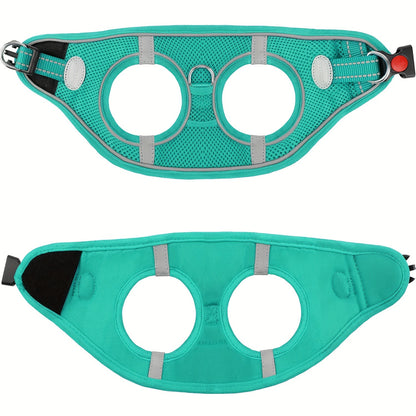 Laisse pour chien- Joytale Reflective Laisse- Harnais